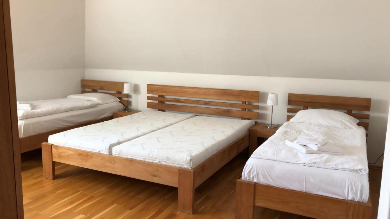 Nová BystřiceObora 824别墅 外观 照片
